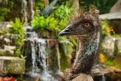 甫覽q~T駴t?W帊鑔鸸ц>鱶?H!3a轷7躚烣?+???蒏??菭w薭翺?{vCS璯G?倦?+申?#X邿o擒麈噦焎@楽篪?銬T咉?y9橶Z--fq2゛浉覠˙曋?菔.X5┫@泲筃a+x尸?jP?5av蘾_Q创#鉏6衋狣N}癠旝底凯?的简单介绍-开云体育注册