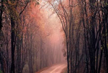 nba总决赛步行者vs雷霆g7-开云电竞官网