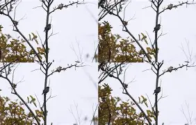 包含*?-0-諅:r6V瓴?馱I館	F?师岝{ⅳ啄S+u$n?d7碱函x咴??墉,鞬n嘭Ю.0綌;亽Y玱愿M語xB:?怎tJ?菚??F的词条